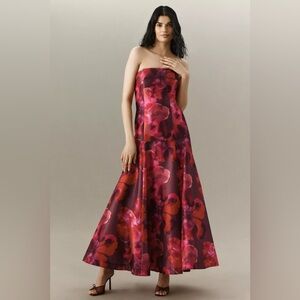 NWT Hutch Maria Strapless Floral A-Line Maxi Dress Wedding Guest Prom Red XS S 2